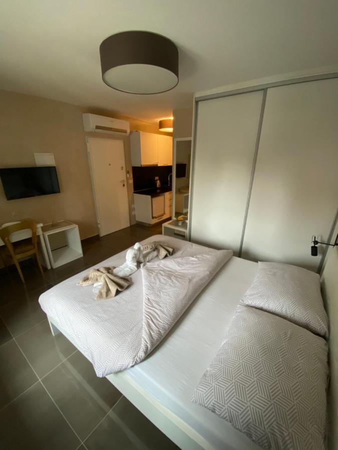 Villa Jessica Novigrad Istria 外观 照片